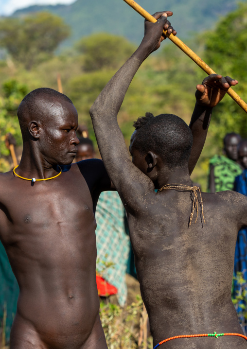 Suri tribe warriors fighting during a donga stick ritual, Omo valley, Kibish, Ethiopia