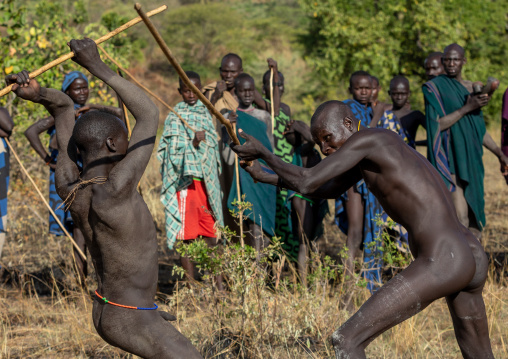 Suri tribe warriors fighting during a donga stick ritual, Omo valley, Kibish, Ethiopia