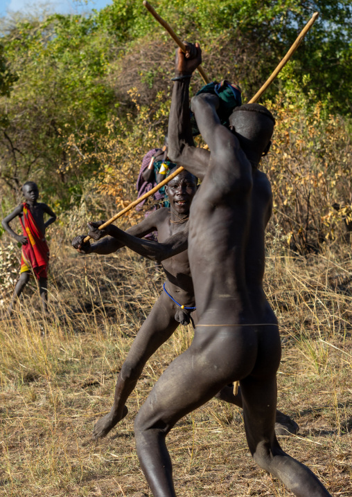 Suri tribe warriors fighting during a donga stick ritual, Omo valley, Kibish, Ethiopia