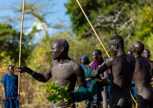 Suri tribe warriors parading before a donga stick fighting ritual, Omo valley, Kibish, Ethiopia