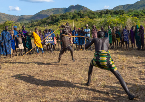 Suri tribe warriors fighting during a donga stick ritual, Omo valley, Kibish, Ethiopia