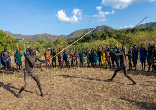 Suri tribe warriors fighting during a donga stick ritual, Omo valley, Kibish, Ethiopia