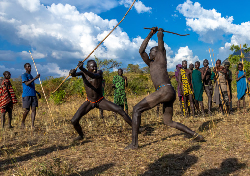 Suri tribe warriors fighting during a donga stick ritual, Omo valley, Kibish, Ethiopia