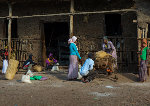 Ethiopian people loading a donkey in the street, Oromia, Jimma, Ethiopia