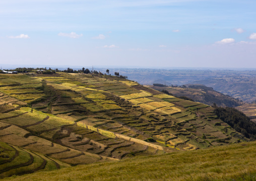 Menelik's window landscape, Amhara Region, Debre Sina, Ethiopia