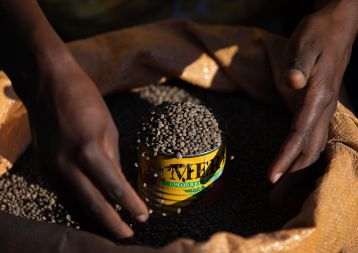 Lentils for sale in a market, Amhara region, Senbete, Ethiopia