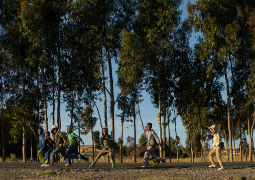 Ethiopian children from the highlands, Amhara region, Weldiya, Ethiopia