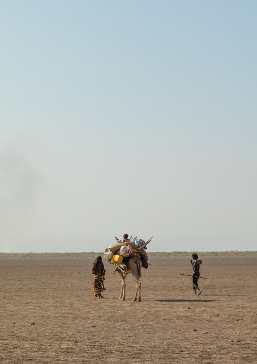 Afar people leading a camel caravan, Afar region, Semera, Ethiopia