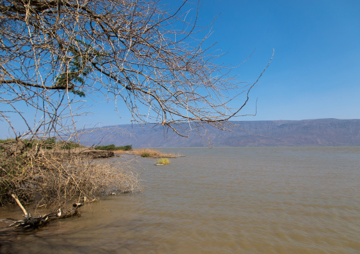 Afambo lake, Afar Region, Afambo, Ethiopia