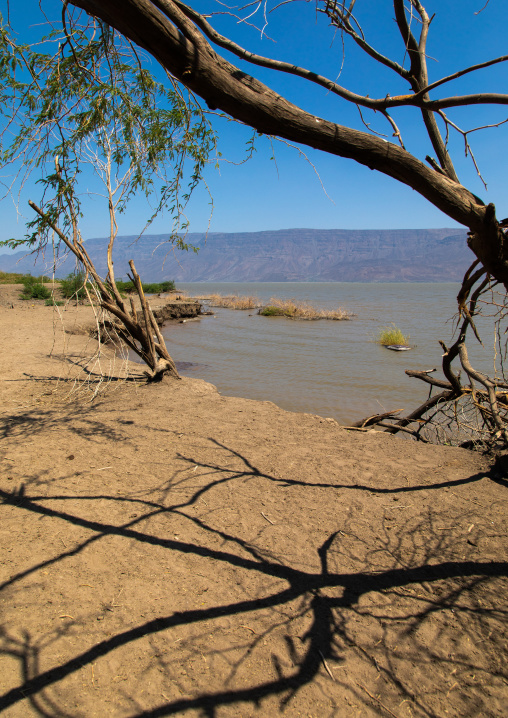 Afambo lake, Afar Region, Afambo, Ethiopia