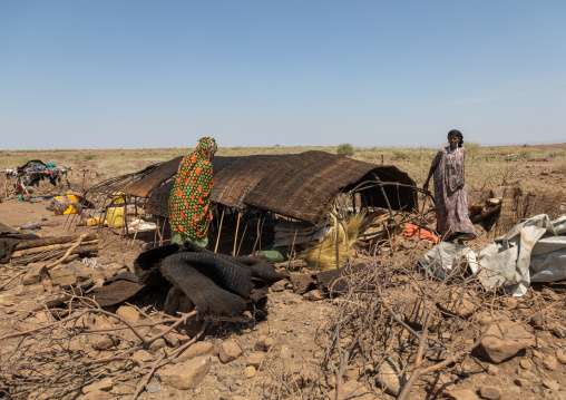 Issa woman making tent in a camp, Afar Region, Gewane, Ethiopia