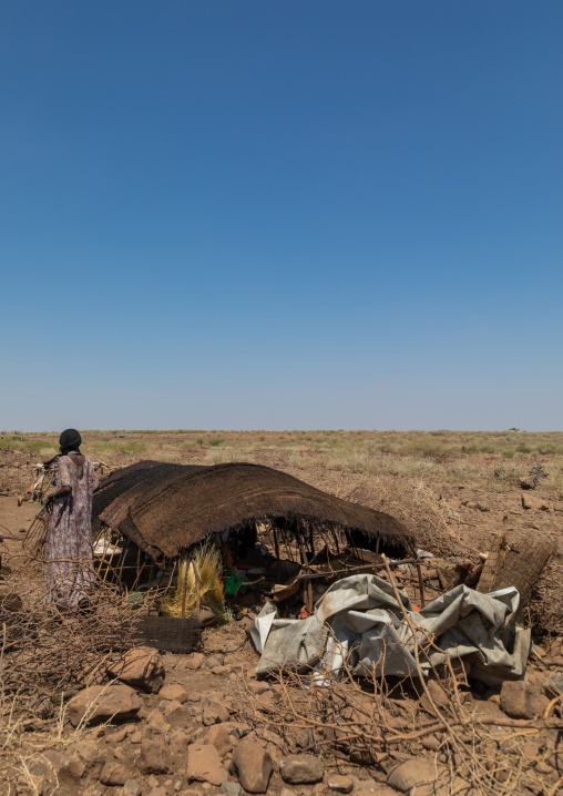 Issa woman making tent in a camp, Afar Region, Gewane, Ethiopia