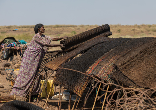 Issa woman making tent in a camp, Afar Region, Gewane, Ethiopia