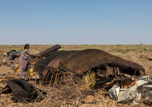 Issa woman making tent in a camp, Afar Region, Gewane, Ethiopia