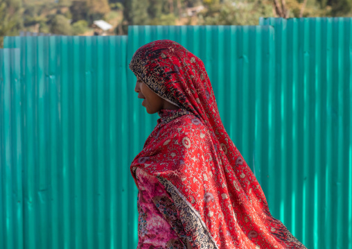 Ethiopian woman walking in the street, Oromia, Kulubi, Ethiopia