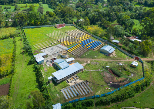 Aerial view of a coffee farm, Oromia, Shishinda, Ethiopia