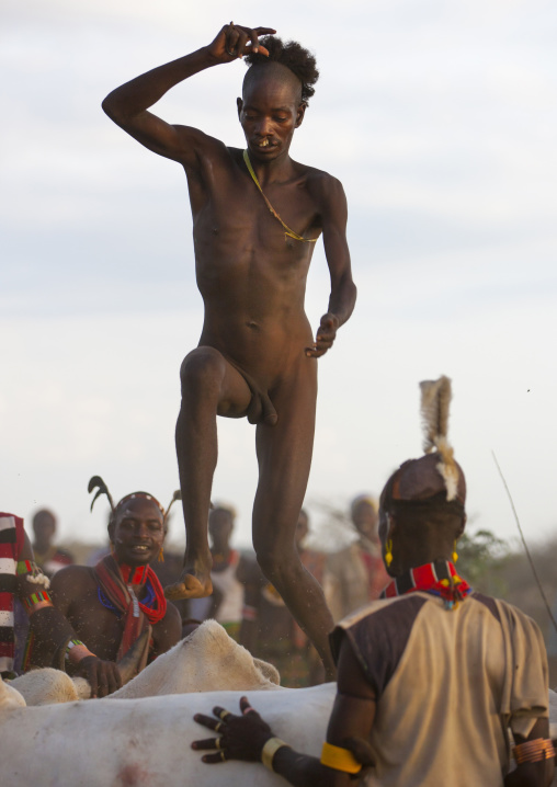 Bull Jumping Ceremony In Hamar Tribe, Turmi, Omo Valley, Ethiopia