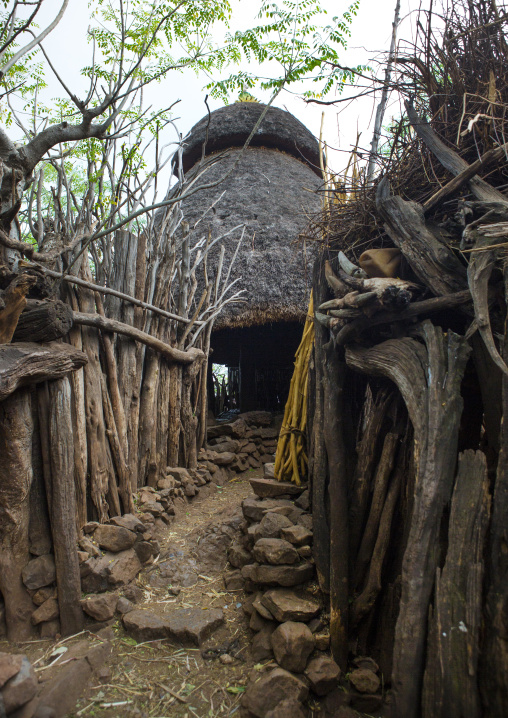 Fences In Konso Tribe  Village, Omo Valley, Ethiopia