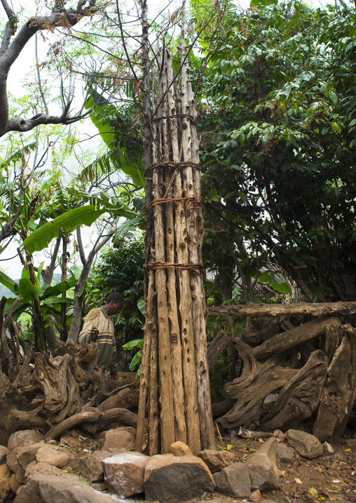 Generation Pole, Konso, Ethiopia