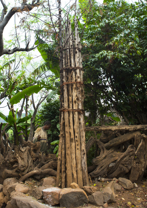 Generation Pole, Konso Tribe, Omo Valley, Ethiopia