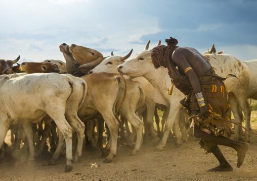 Hamar Tribe Women Dancing During Bull Jumping Ceremony, Turmi, Omo Valley, Ethiopia