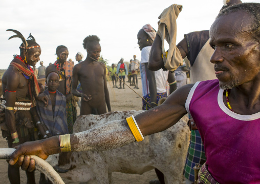 Hamer Men Preparing The Bull Jumping Ceremony, Turmi, Omo Valley, Ethiopia