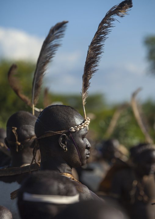 Bodi Tribe Fat Men During Kael Ceremony, Hana Mursi, Omo Valley, Ethiopia