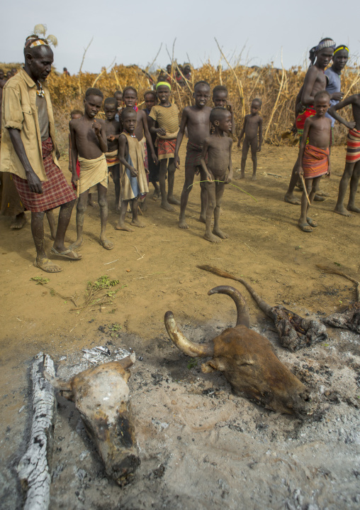 Dassanech Tribe People  Cooking A Cow, Omorate, Omo Valley, Ethiopia