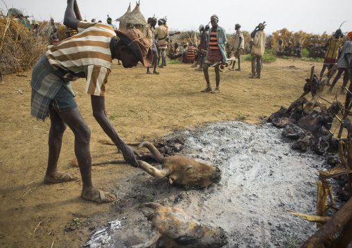 Dassanech Tribe People  Cooking A Cow, Omorate, Omo Valley, Ethiopia