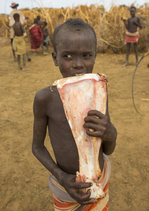 Dassanech Tribe Warriors Sharing Cow Meat During A Ceremony, Omorate, Omo Valley, Ethiopia