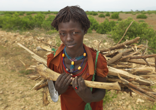 Young Girl With Wood Load On Her Back Ethiopia