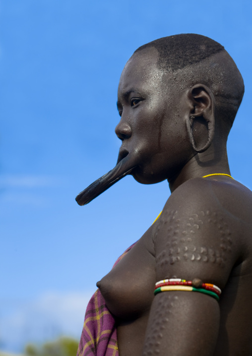 Portrait Of A Mursi Tribe Woman With Lip Plate, Scarifications And Enlarged Ears In Mago National Park, Omo Valley, Ethiopia