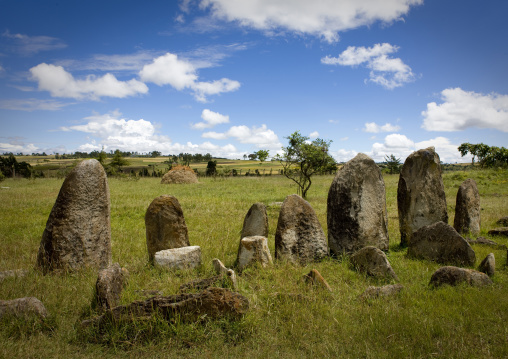 Site of tiya, Unesco world heritage site, Tiya, Ethiopia