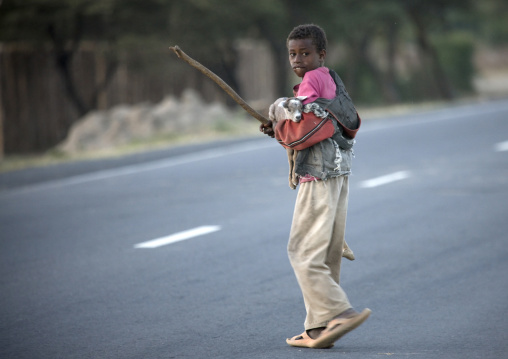 Shy Oromo Tribe Boy Holding A Kid Goat In His Arms, Adama, Ethiopia