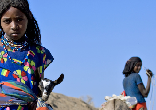 Afar girl carrying a goat, Assaita, Afar regional state, Ethiopia