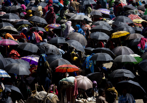 Market day, Bati, Amhara region, Ethiopia