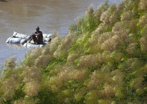 Man carrying coal bags on awash river, Assaita, Afar regional state, Ethiopia