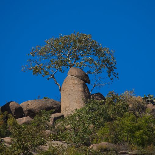 Phallic Rocks At The Valley Of Marvels, Babile, Ethiopia