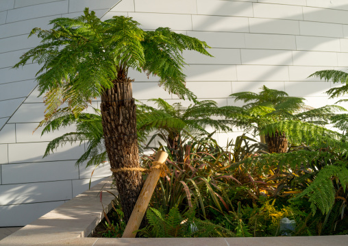 Louis Vuitton Foundation Roof Garden, Bois De Boulogne, Paris, France