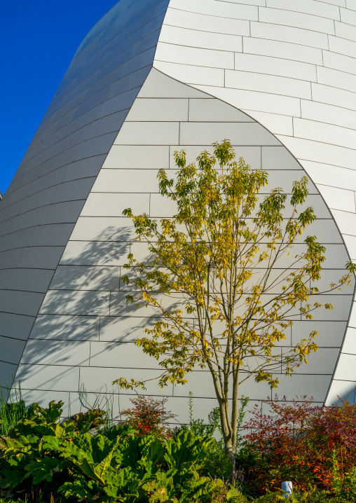 Louis Vuitton Foundation Roof Garden, Bois De Boulogne, Paris, France