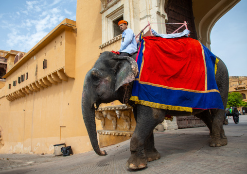 Elephant ride in Amer fort and palace, Rajasthan, Amer, India