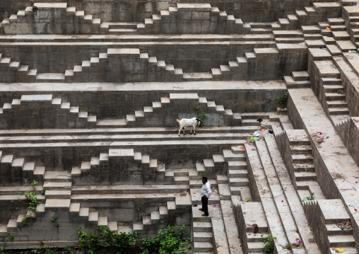 Indian man with his goat in dhabhai ka Kund stepwell, Rajasthan, Bundi, India