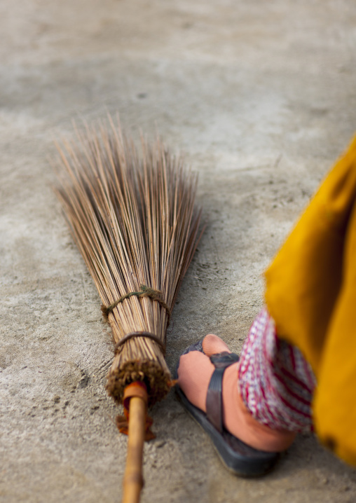 Broom, Maha Kumbh Mela, Allahabad, India