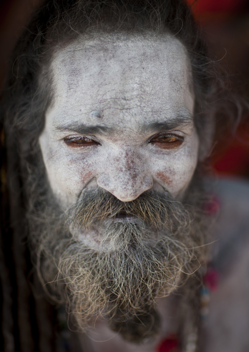 Naga Sadhu, Maha Kumbh Mela, Allahabad, India