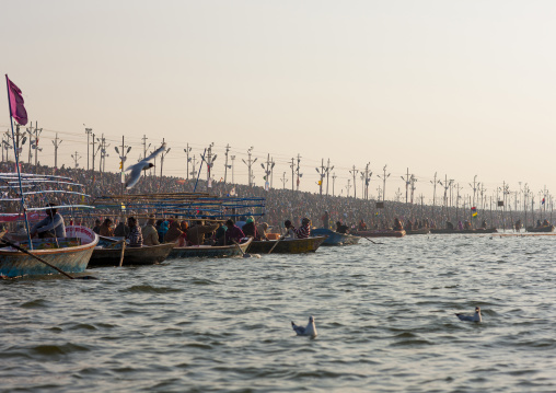 Pilgrims Bathing In Ganges, Maha Kumbh Mela, Allahabad, India