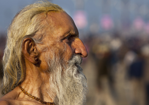 Naga Sadhu, Maha Kumbh Mela, Allahabad, India