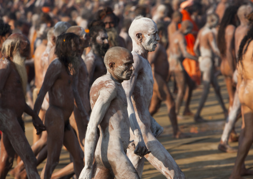 Naga Sadhu From Juna Akhara Going To Bath, Maha Kumbh Mela, Allahabad, India