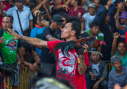 A Cock Being Held Back By Its Handler During A Cockfigting Event