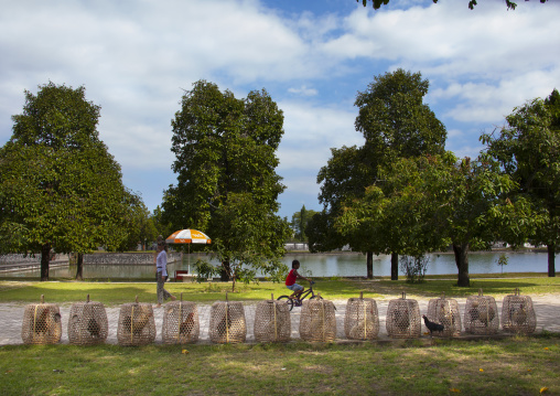 Chicken Cages In A Park, Mataram, Lombok Island, Indonesia