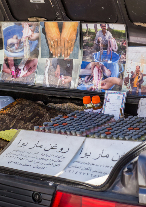 traditional medicine ingredients made from snake, Hormozgan, Bandar Abbas, Iran